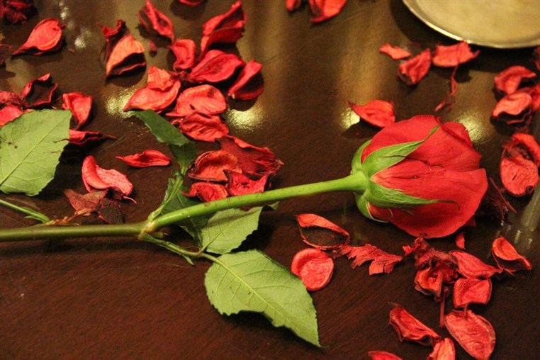 Valentine at Eau De Vie